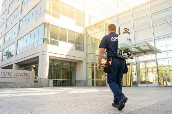 DDD služba — prevencija kanalizacijskih muhica i štetnika